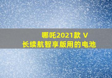 哪吒2021款 V 长续航智享版用的电池